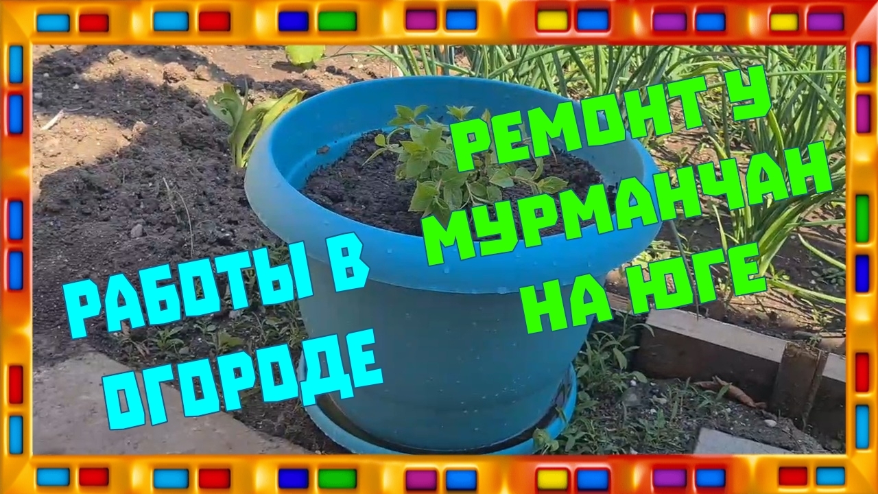 Ремонт у мурманчан на юге. Работы в огороде. Мысли вслух. Про дизлайки.