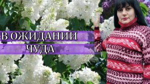 Я ИХ ЖДУ🥰 ПЛАНЫ МЕНЯЮТСЯ🤦 РАБОТА КИПИТ