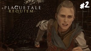 A Plague Tale: Requiem - Прохождение #2 Амиция.