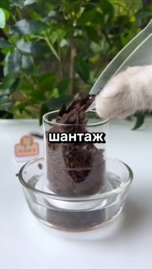 |история:решила проверить дочь|2/2| с  вас  лайки|
