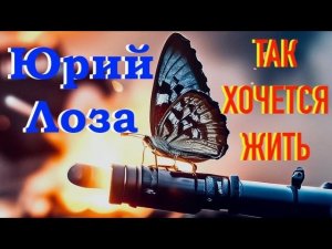 ТАК ХОЧЕТСЯ ЖИТЬ – совсем новая песня на стихи Светланы Мережковской.