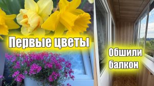 Обшили балкон. Первые весенние цветы