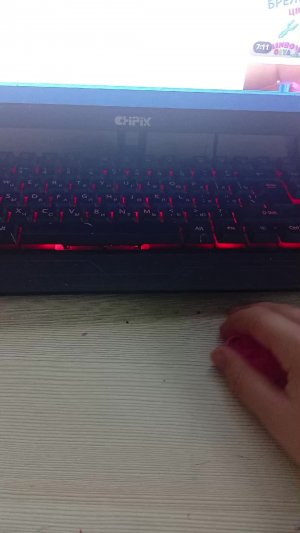 зериночки в студию