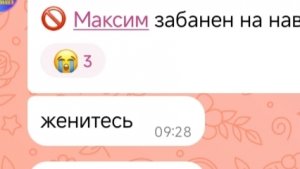 Шейди обрела вторую жизнь
