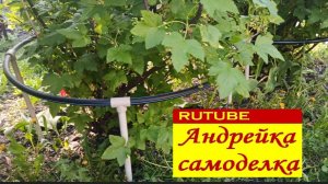 Опора для кустов смородины, крыжовника.  Из пластиковых труб. Разборная.