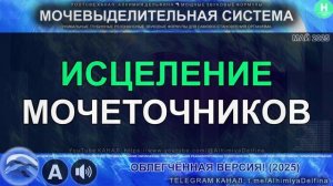 🌿 Мочеточники как НОВЫЕ! | Резонансный Саблиминал 💦 Устранение спазмов, закупорок, инфекций ✅