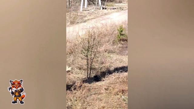 Как пожарные на 9 мая отдыхали.