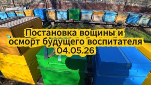 Постановка вощины и осморт будущего воспитателя