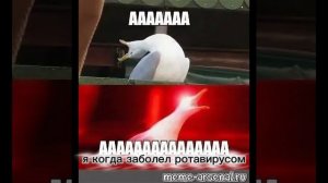 мемы про меня.