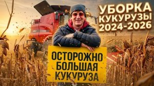 Кукуруза на поливе : мой урожай в засуху!