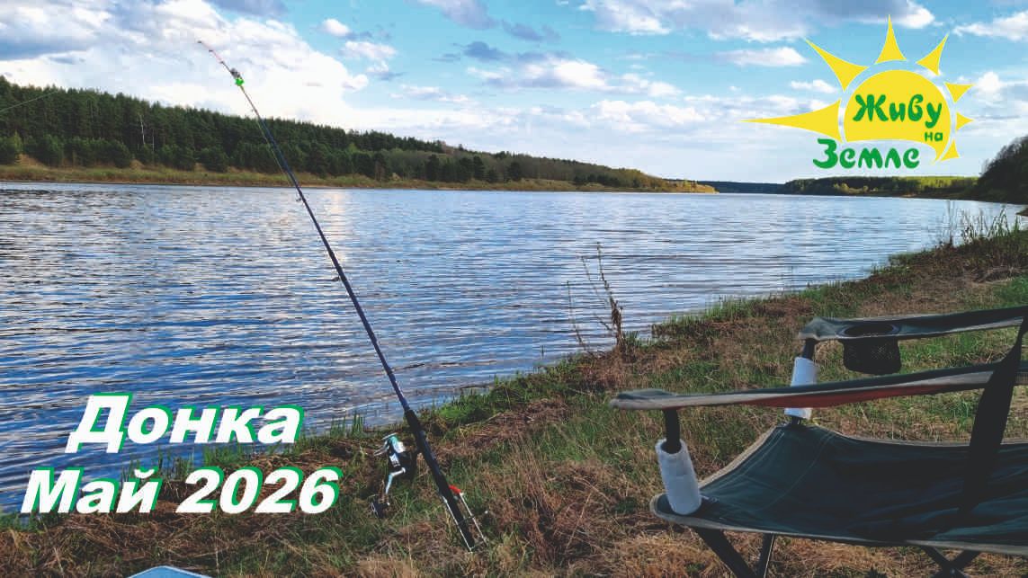Рыбалка на Донку. Вечером и днём - разный результат. Ловля леща в Мае 2026