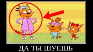три кота демотиватор в лагере лесных засранцев🖼️