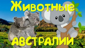 ЖИВОТНЫЕ АЗИИ - ЖИВОТНЫЕ СЕВЕРА - ЖИВОТНЫЕ АВСТРАЛИИ -  Развивающий мультик для детей