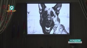 Сразу две премьеры от «Золотого кадра»: трогательные истории времен Великой Отечественной войны