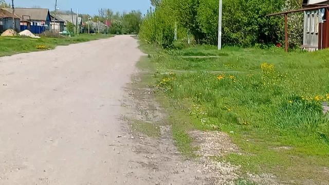 5203.mp4 смотреть онлайн