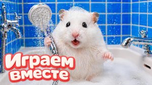 ХОМЯК ВЫБИРАЕТСЯ ИЗ СЕКРЕТНОЙ ХОМЯЧЕЙ ТЮРЬМЫ ! Играем ВМЕСТЕ 🟠 Помогаем выбраться из лабиринта 3