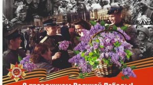 Сирень 45-го...