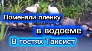 Поменяли пленку в водоёме. В гостях таксист.