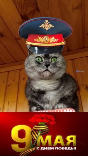Парад: Смирно!