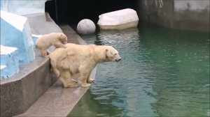 Герде и медвежонку добавили воды в бассейн и они пошлёпали по ней 07.05.2026