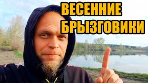 Весенние брызговики. Ловля весеннего окуня.