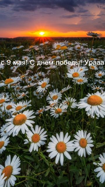 С 9 мая! С днём победы! Ура! 🥳 смотреть онлайн