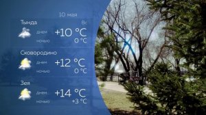 Прогноз погоды на 10.05.2026