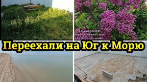 ЖИЗНЬ НА ЮГЕ ПОСЛЕ ПЕРЕЕЗДА, ТРАВА ПО ПОЯС, КОСИМ, МОЮ ЗАБОР, ПРИШЛО ЛЕТО