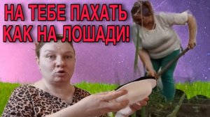 НА ЭТОЙ ЛОШАДИ ПАХАТЬ МОЖНО! ОЛЬГА ИЗ ЗАУРАЛЬЯ. ОБЗОР.