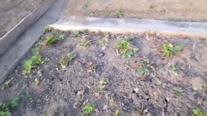 Жизнь пенсионеров.