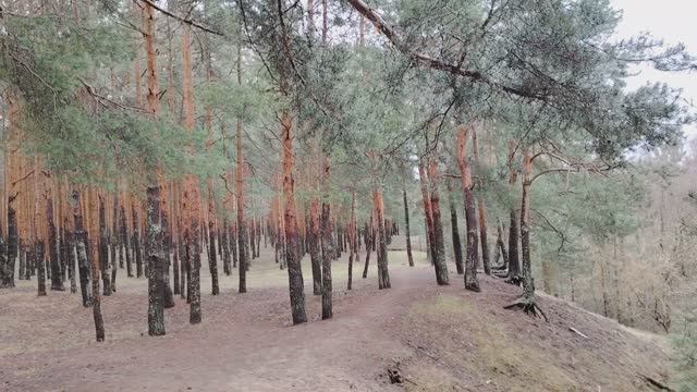 Уметь правильно услышать. Общение с манипуляторами