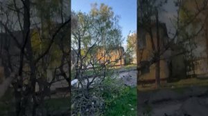 пытались достать голову куклы🤣🤣🤣🤣🤣
