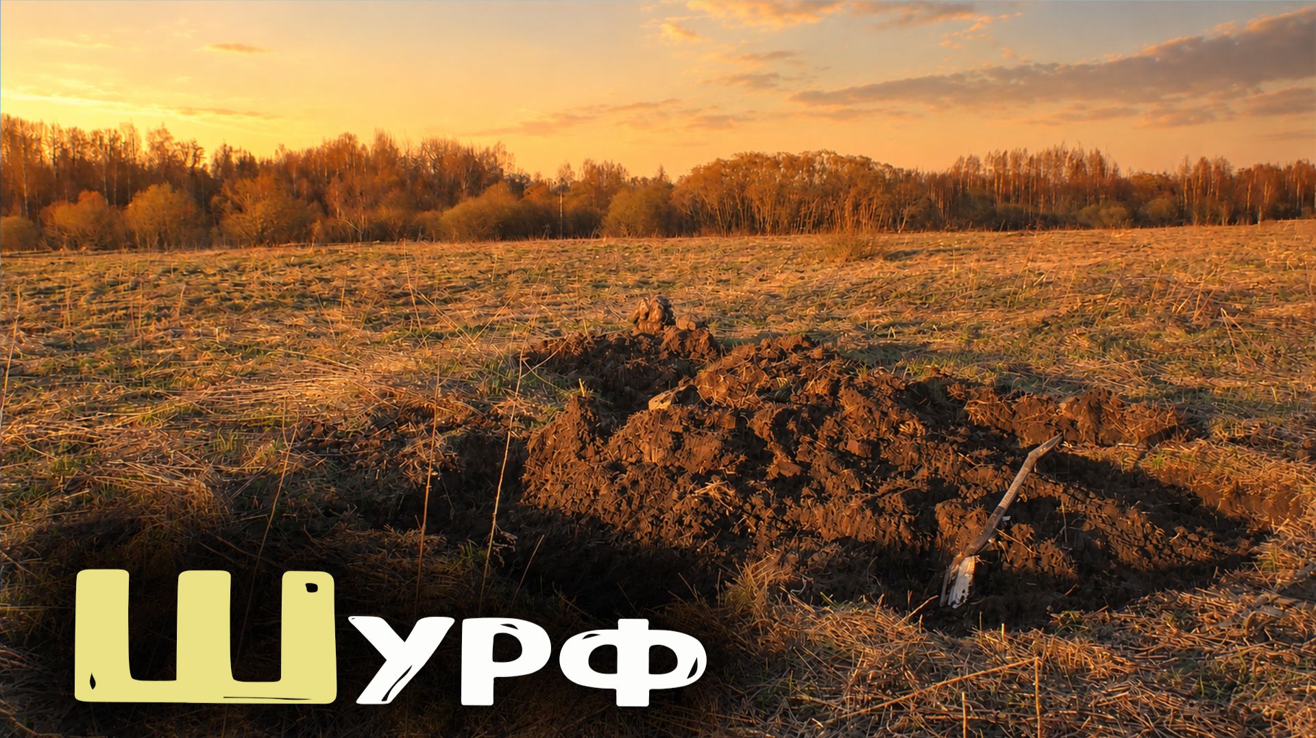 Шурф фундамента в пропавшей деревне! Старые находки с металлоискателем