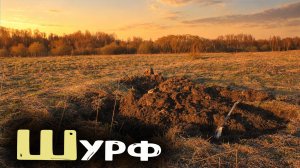 Шурф фундамента в пропавшей деревне! Старые находки с металлоискателем