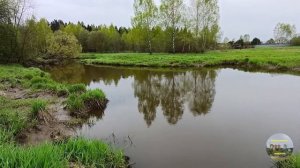 Релаксация