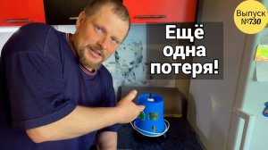 Сломался сепаратор Мотор Сич. Гоним коров в стадо. Наша жизнь в Омской деревне.