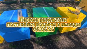 Первые результаты постановки вощины и выводы