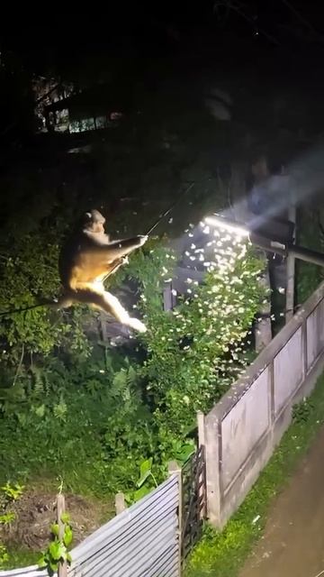 Ночной дожор бывает у всех