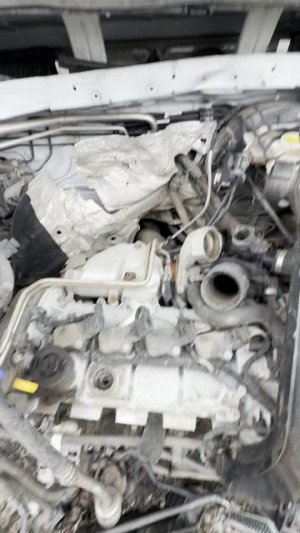 JETTA VS5 23