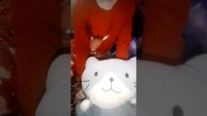 Цыпленок Чее, решил действовать!