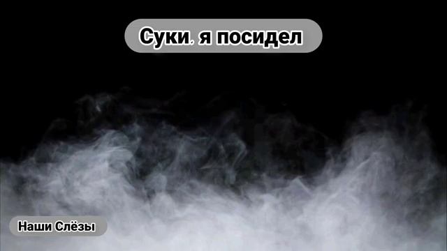 Суки Я поседел
