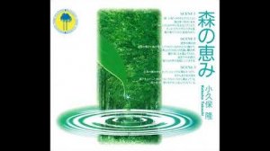 Takashi Kokubo (小久保隆) - Blessings Of The Forest (森の恵み) (1994) [Full Album]