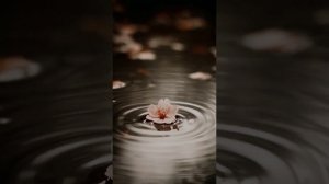 Мелодия Сольресоль.