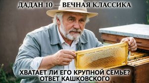 Дадан на 10 рамок: мало или достаточно? Зимовка, медосбор, модификации | Профессор Кашковский 🐝📦