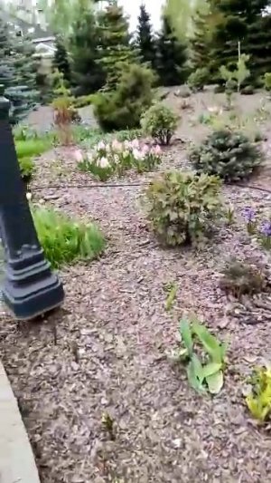 09-05-2026