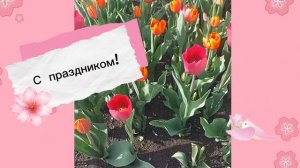 С праздником! С Днём  Победы! ⭐️