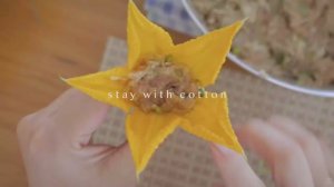 stay with cotton Экскурсия по огороду 🌿🍅  Простые вегетарианские блюда 🍲