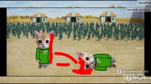 котята поясняют