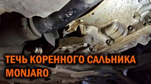 Джили Монжаро. И снова течь коренного сальника - Автотехцентр Soundspeed