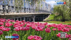 Весенний Белгород расцвел к майским праздникам